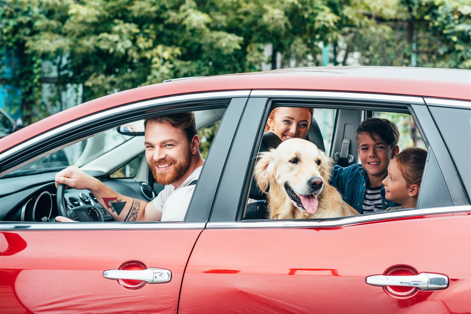 Gear Up for Road Trips with Your Pets!