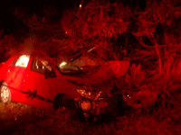 Towing Gallery Photo #45