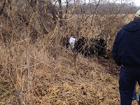 Towing Gallery - Richman Automotive Photo #09